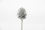 Glitter Pine Cone Pick (72pk) - Silver