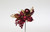 7in Glitter Boxwood Statice Ball Pick (Bag of 12) - Burgundy