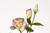 22in Natural Touch Lisianthus - Lavender White