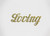 Decorative Word Script - Loving