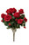 Eternity Rose Bush x12 - Red