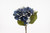 22in Dried Grand Hydrangea Stem - Dark Blue