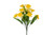 Spring Bush Assortment x12 - Yellow Daffodil