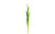 17in Real Touch Tulip Bud Spray - White