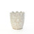 5.2in Wide Daisy Ceramic Pot - Coffee Cream
