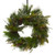 24in Cedar Forest Wreath with Bay Leaf & Seeded Eucalyptus