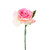 13in Rose Short Stem - Pink