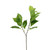 26in Hydrangea Leaf Spray - Green