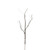 36in Twig Branch - Brown Natural