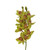 29in Cymbidium x10 - Green