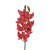 29in Cymbidium x10 - Hot Pink