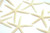 3-4in Starfish - White (Bag of 12)