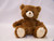 15in Tall Pawee Harrison Sitting Bears Plush (Assorted)