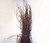 3-4ft Dried Natural Birch Branch (Bundle of 25)