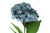 33in Hydrangea Stem
