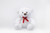 17in Tall Jeffrey Bear with Red Ribbon Bow Plush