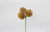 Glitter Pine Cone Pick x3 - Gold (72pk)