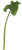 35.5in Calla Lily Leaf