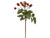 18in Rose Hip Spray - Red