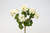Geranium Plant x7 - White