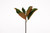 14in Magnolia Leaf Pick