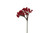 7in Waterproof Red Berry Pick (12pk)