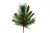 15.5in Juniper Cedar Mixed Pine Bayleaf Cone Spray