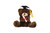 6in Tall Graduation Bears with Hats and Diplomas Plush  Vase Hugging (Assorted)
