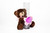 6in Tall Bears with Flowers Plush  Vase Hugging (Assorted)