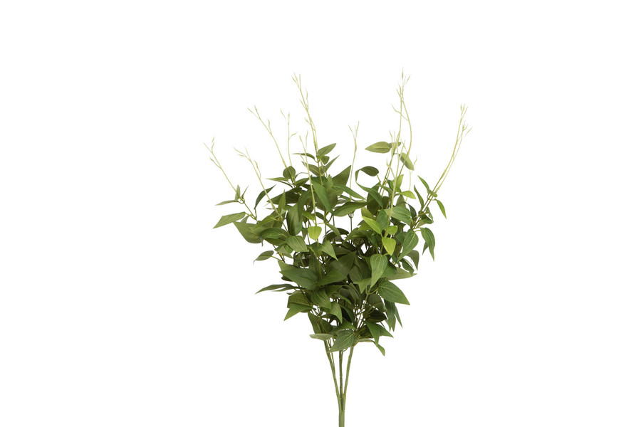 23in Jasmine Bush x15