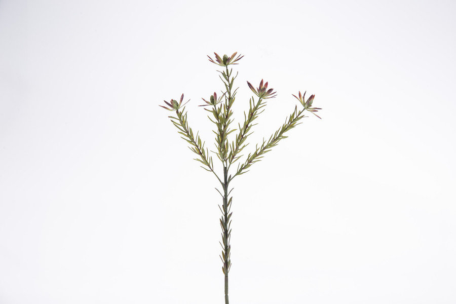 28.5in Protea Plum Spray