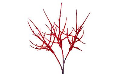 15in Glitter Blackthorn Branch - Red (6pk)