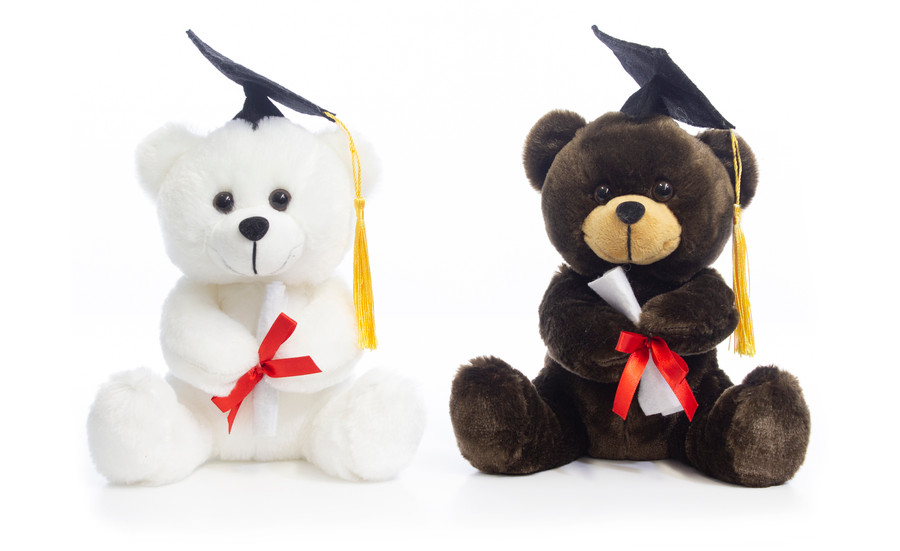 7in Tall Graduation Bears with Hats and Diplomas Plush (Assorted)