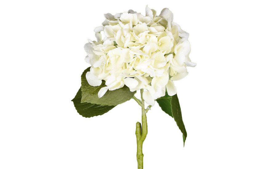 25in Soft Touch Hydrangea Stem - Cream