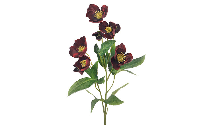 22in Helleborus Spray - Burgundy