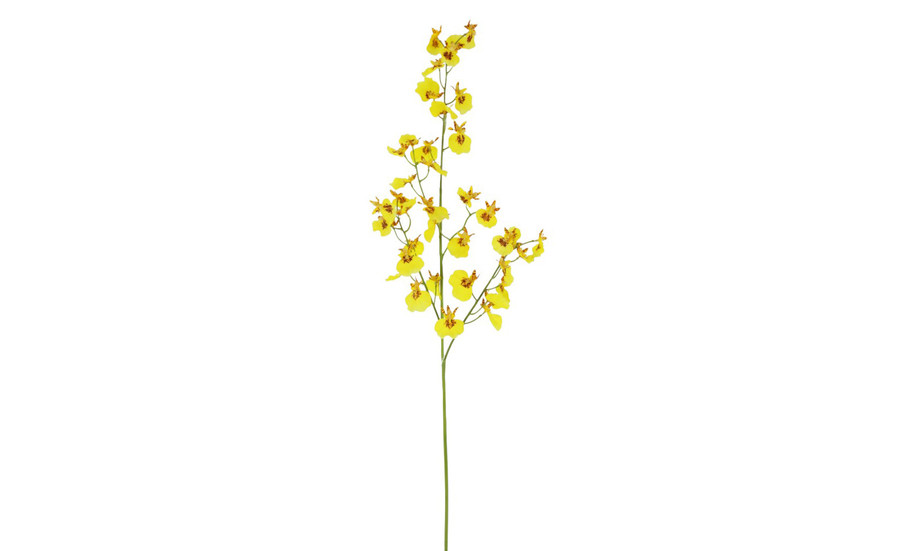 28in Dancing Orchid Spray - Yellow