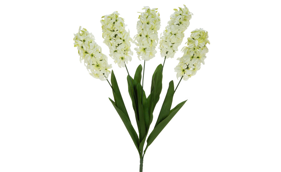 Hyacinth Bush x5 - White