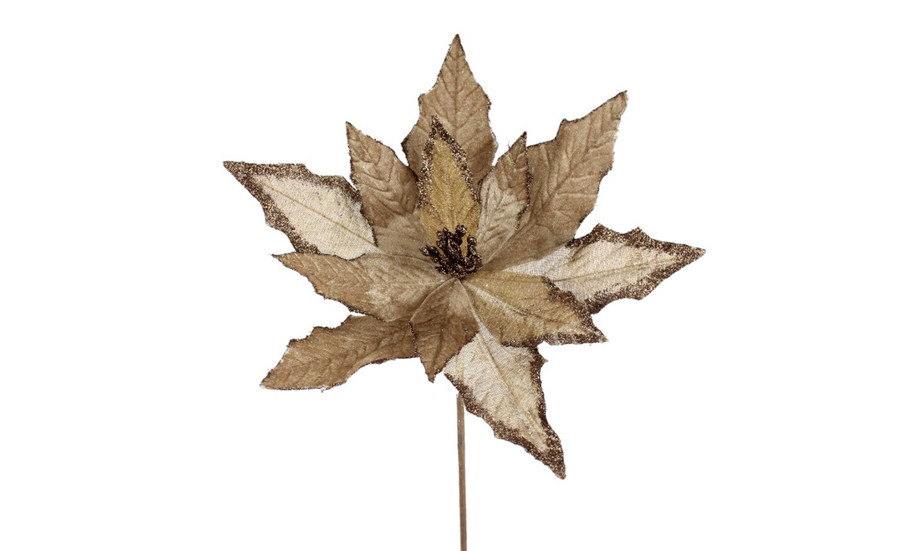 19in Poinsettia Stem - Natural Brown