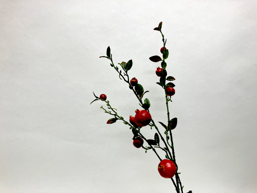 32in Pomegranate Spray x9 - Red Yellow