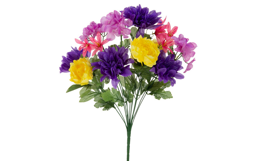 Dahlia Hydrangea Peony Bush x14 - Multi Spring