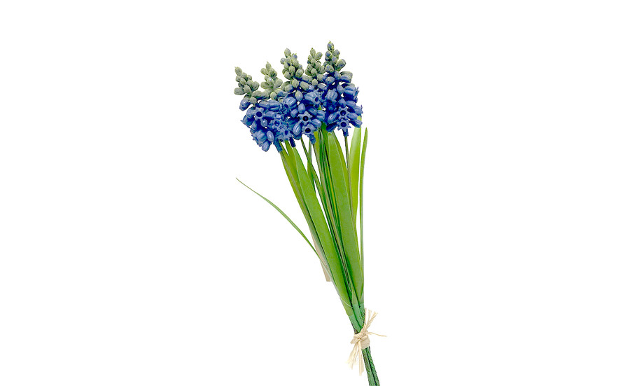 12in Grape Hyacinth Bundle - Blue