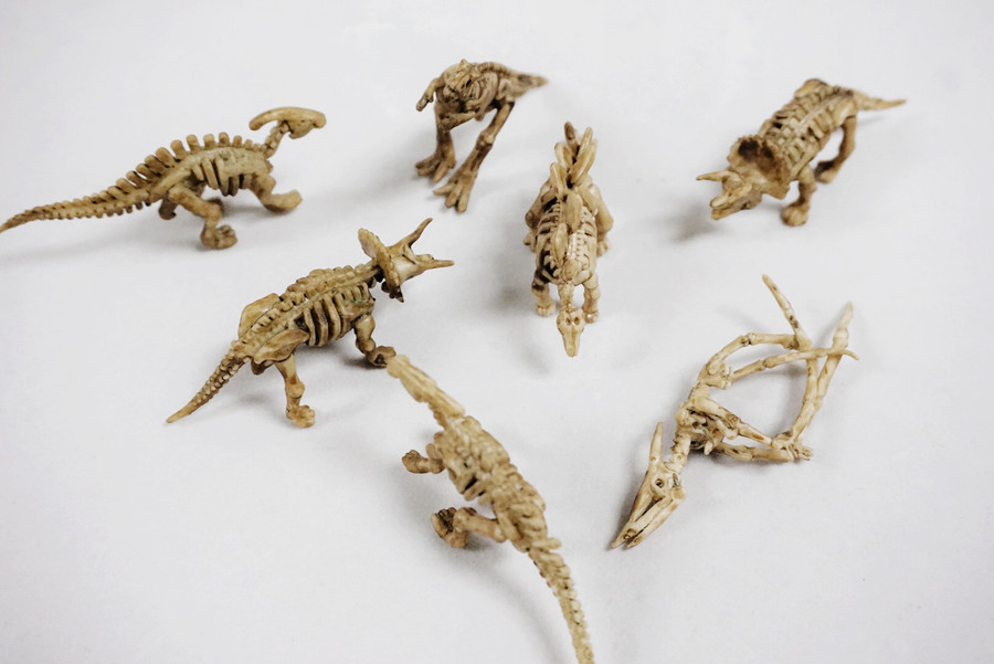 2in Dinosaur Skeleton (96pk)