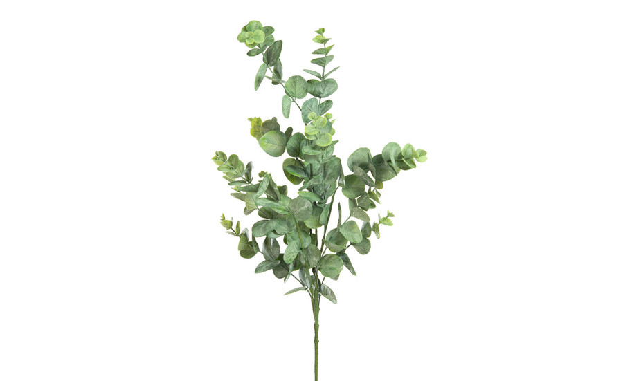 34in Eucalyptus Spray x12