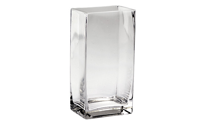 8in Tall Rectangular Clear Glass Vase