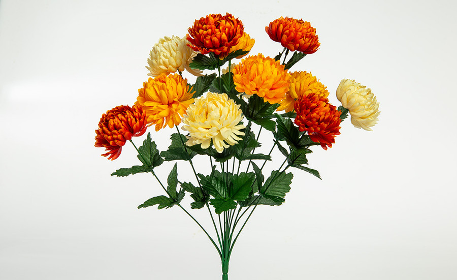 Small Ball Mum Bush x12 - Gold Orange Beige