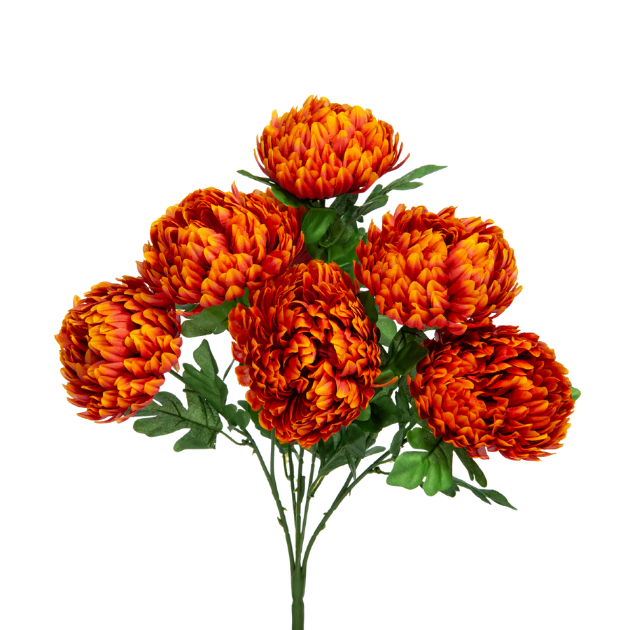 Football Mum Bush x7 - Orange