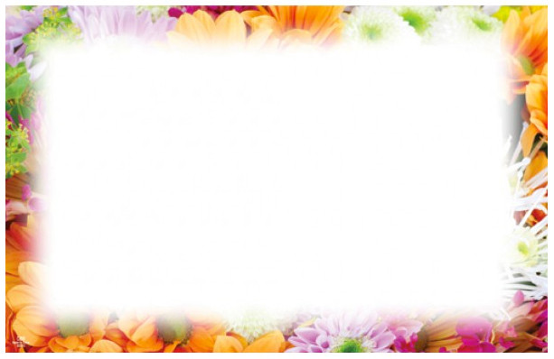 50pk Enclosure Cards - No Sentiment