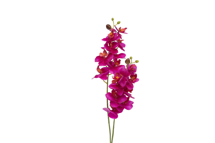 22in Phalaenopsis Stem - Fuchsia