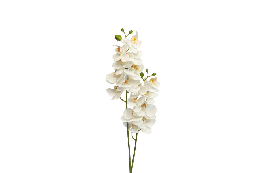 22in Phalaenopsis Stem - White
