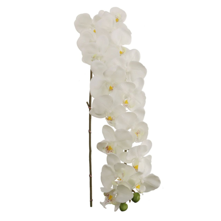 49in Hanging Phalaenopsis Orchid - White